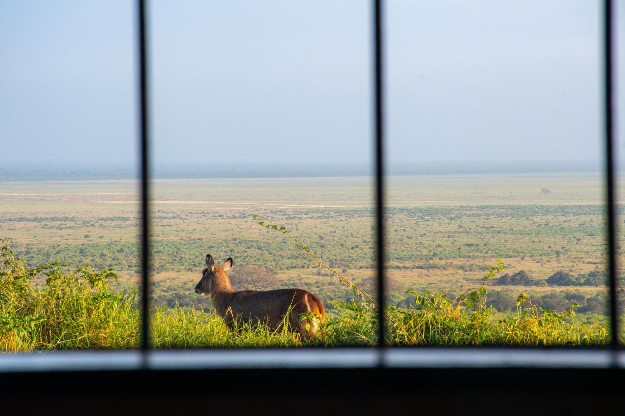 Voi Safari Lodge Exterior photo