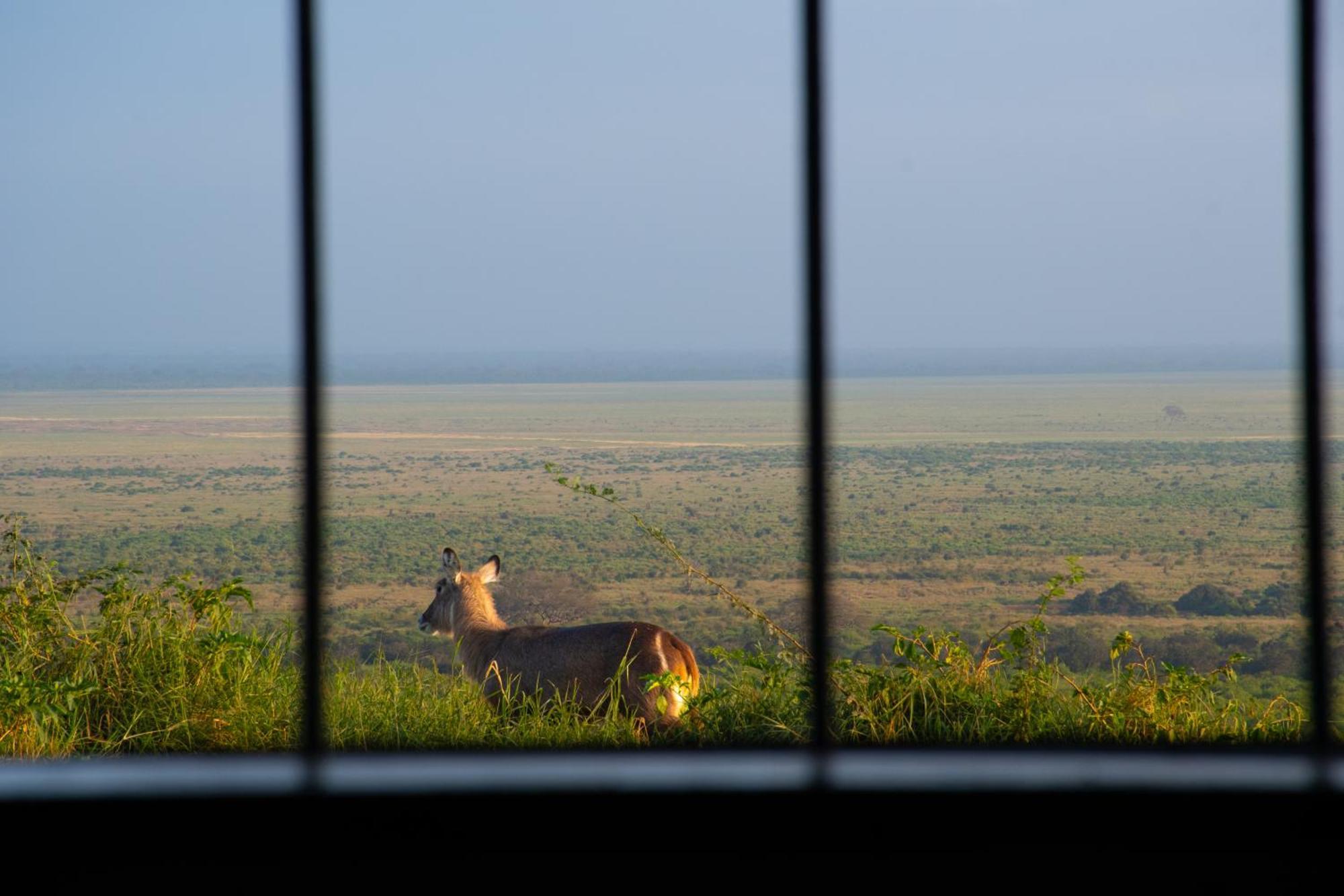 Voi Safari Lodge Exterior photo